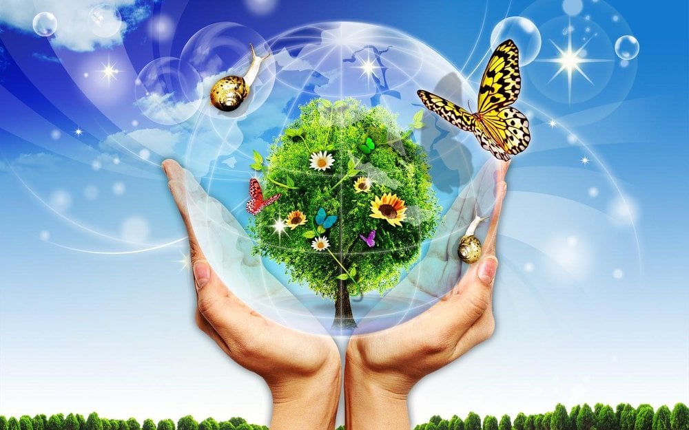 Екологія та захист довкілля у "Еко Долині" | Нові лідери